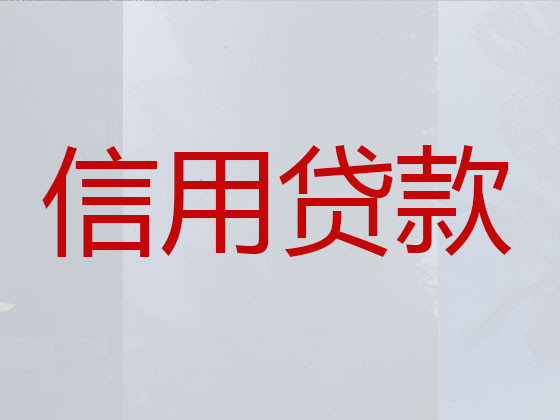 慈溪抵押贷款-信用贷款